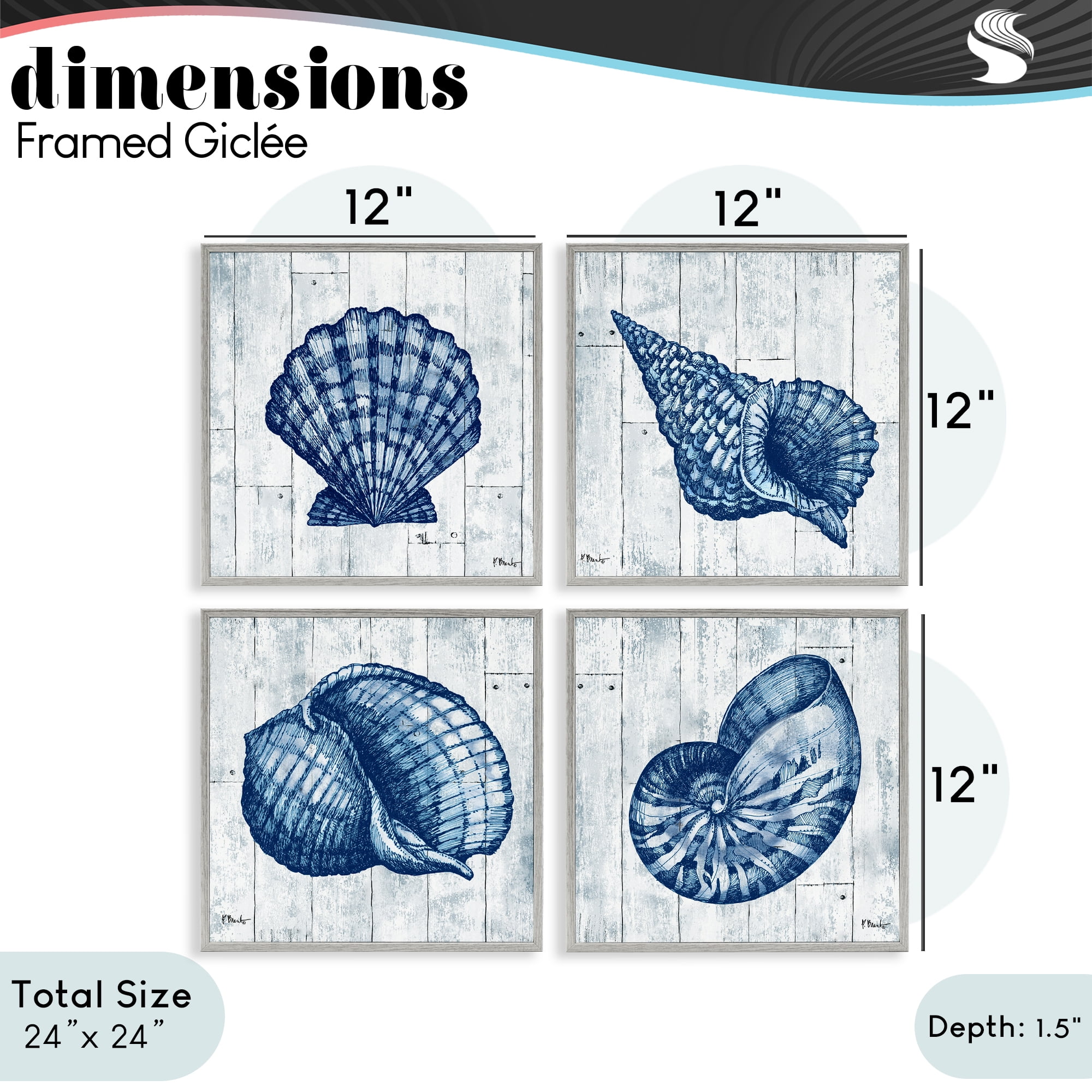 Stupell Industries Coastal Timberland Seashells 4 Piece Gray Framed Giclee Art Set, design by Paul Brent