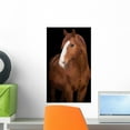 thumbnail image 1 of Chestnut Horse Head Black Wall Mural by Wallmonkeys Peel and Stick Graphic (18 in H x 14 in W) WM68071, 1 of 4