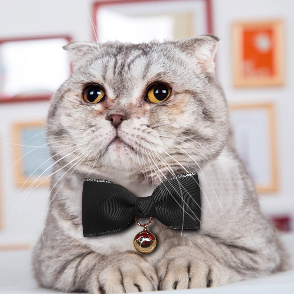 cat bow ties for sale