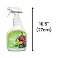 thumbnail image 2 of Crowning Glory Flower Spray 32 Fl. Oz, 2 of 7