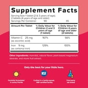 Renzo’s Iron with Vitamin C for Kids, Sugar-Free, Vegan Melty Tabs, Immune Support, 90 Tablets
