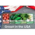 thumbnail image 6 of Salsa Garden Seed Assortment | 5 Variety Pack, 6 of 7