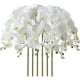 thumbnail image 1 of Flores artificiales de Phalaenopsis 37 pulgadas 6 piezas orquídea decoración hogar blanco MENGJIAQI, 1 of 6
