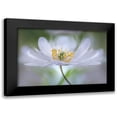 thumbnail image 1 of Disher, Mandy 18x13 Black Modern Framed Museum Art Print Titled - Nemorosa Nirvana, 1 of 5