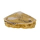 thumbnail image 5 of Comedero para reptiles, comida o agua, cuenco de cerámica, bandeja, plato para lombrices, geco, dragón 3, 5 of 9