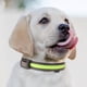 thumbnail image 1 of Juego de collar y correa para perros USB y de carga solar - Collar de seguridad LED de doble uso para mascotas con tamaño de cuello ajustable, 1 of 2