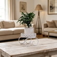 thumbnail image 5 of YuanGuangQ Double Tier Iron Plant Stand, European Style Floor Standing Flower Pot Display Rack, Sturdy Plant Storage Shelf for Living Room Balcony Window Sill Home Use, 5 of 6
