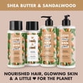 thumbnail image 6 of Love Beauty And Planet Purposeful Hydration Cleansing Conditioner, Shea Butter & Sandalwood 13.5 oz, 6 of 12