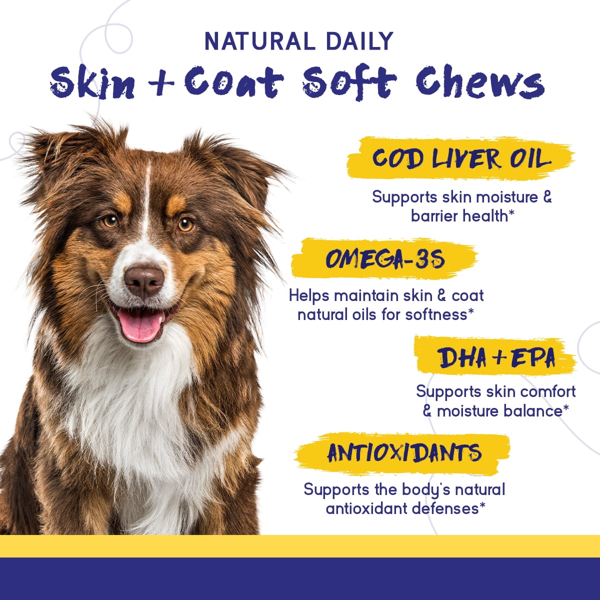PupGrade Skin & Coat Soft Chews for Dogs, Omega-3 & Antioxidants, 60 Count