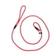 thumbnail image 4 of GAXIRE Correa Y Collar De Nylon Ajustable Para Perros Con Cuerda Duradera, 4 of 6