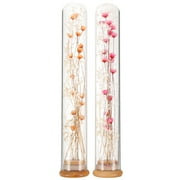 2pcs Dry Flowers in Glass Bottle Preserved Flower Preserved Boquet in Glass Bottle