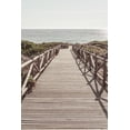 thumbnail image 2 of 1x Studio III 17x24 Black Ornate Wood Framed with Double Matting Museum Art Print Titled - Beach_003, 2 of 4
