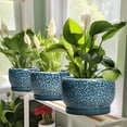 thumbnail image 6 of Flower Pots 6 inch Round Ceramic Planter with Drainage, Modern Pot for Indoor Plants, for Living Room & Office Desk Decor, stone blue-gray, 6 of 6