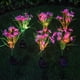 thumbnail image 3 of Luces LED solares de flores silvestres, luces coloridas para decoración de jardín al aire libre, luces solares de jardín, linternas de simulación de Villa (rosa JM, 3 of 5