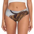 thumbnail image 1 of Balery Portrait Of Cow With Its Baby Cow Ropa Interior de Algodón para Mujer con Dibujo – Braguitas Cómodas y Elásticas, Estilo Clásico-X-Small, 1 of 6
