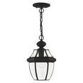thumbnail image 2 of Livex Lighting 1 Light Black Outdoor Lantern, 2 of 8