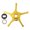 Gold, variant on Wofarmy Fishing Reel Repair Parts Five Star Drag 62Mm for Abu Bf7 Bf8 Ib7 Ib8 for Zenon Baitcastingfishingreelaccessories Gold Right Hand