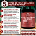 thumbnail image 3 of Multi Collagen Protein Powder Hydrolyzed (Type I II III V X), 3 of 5