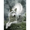 thumbnail image 1 of Evershine Full Square Diamond Painting Wolf Cross Stitch Kit Embroidery Animals Mosaic Sale Rhinestone Pictures Home DecorationFull Square 45X60cm Gao Jinjia LED, 1 of 2