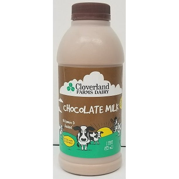 Cloverland Farms Dairy Chocolate Milk, 1 Pint