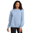 thumbnail image 4 of Sudadera Hanes EcoSmart para hombre, azul claro, talla grande, 4 of 7