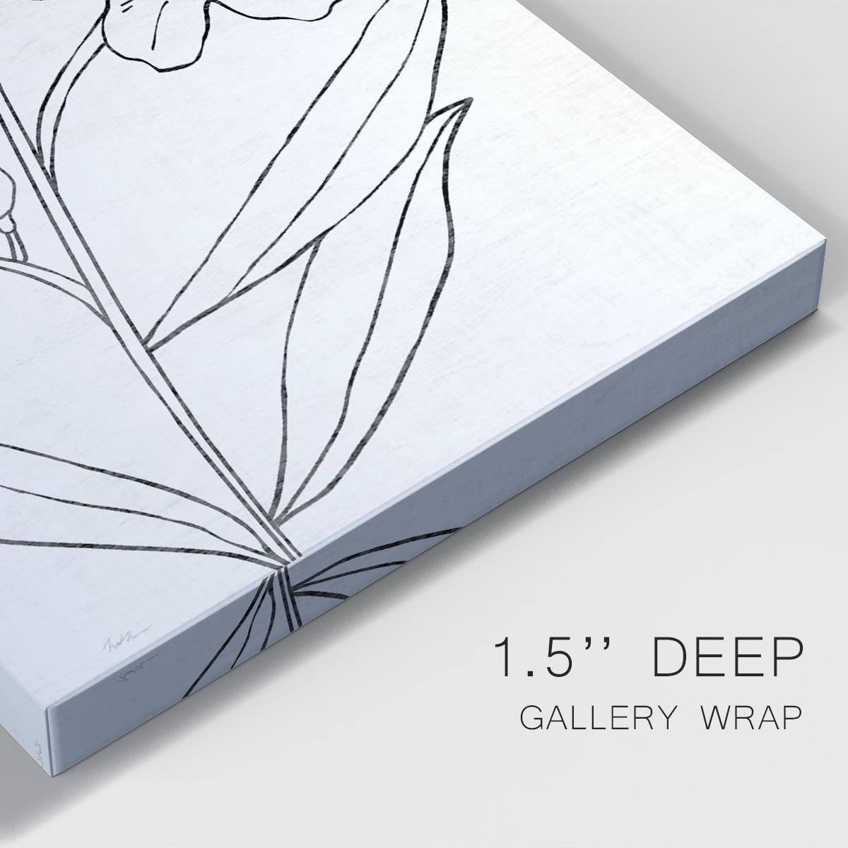 Botanical Sketch I Premium Gallery Wrapped Canvas - Ready to Hang