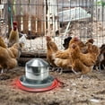 Chicken Water Heater for Chicken Drinker, 110V Poultry Waterer Heated