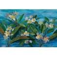 thumbnail image 2 of Vassileva, Silvia 14x11 White Modern Wood Framed Museum Art Print Titled - Oceanside Plumeria, 2 of 4