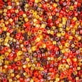 thumbnail image 2 of Miyuki Delica Seed Beads – Size 11/0 (1.6 mm), DB2063, Luminous Mix 3, 7.2g, Approx. 1440 Beads, 2 of 7
