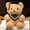 D, variant on Iumwxz 9 Inch Graduation Bear Class of 2023 Stuffed Animal with Diploma and Sash Soft Plush Doll for Kindergarten Graduation Gift for Boys Girls Children