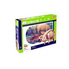 Famemaster 4d Science Animal Cell Anatomy Model Walmart Com Walmart Com