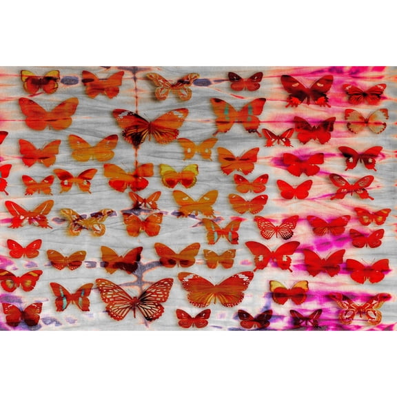 Parvez Taj Moths Art Print on Premium Canvas