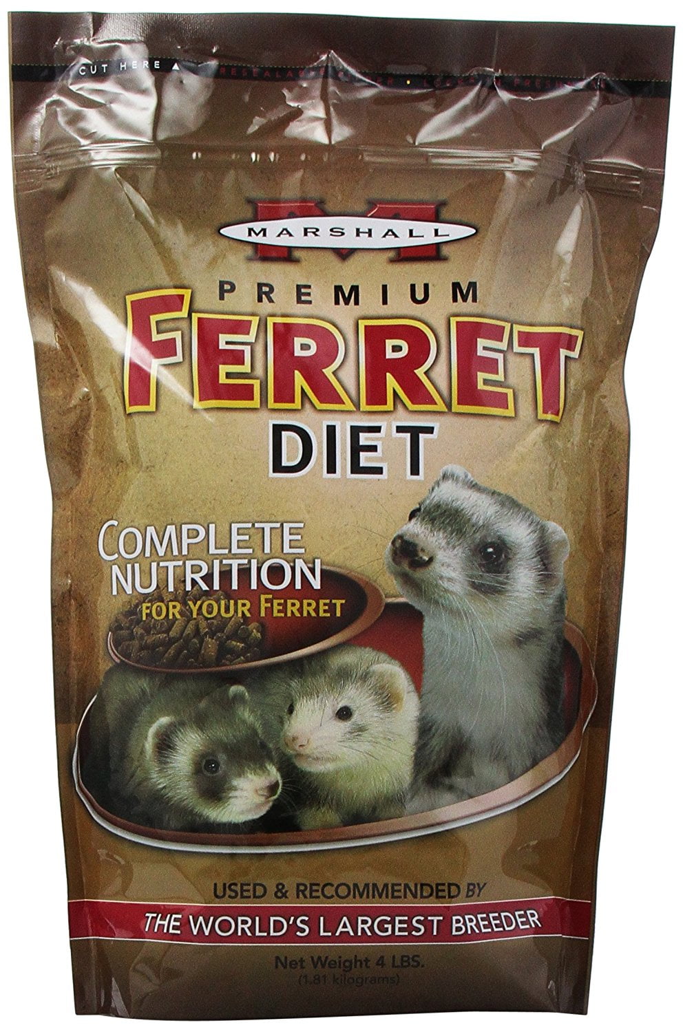 intune ferret food