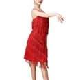 thumbnail image 5 of BLESIYA Women Sequin Tassel Dress Dancewear Dress for Samba Cha Cha L, 5 of 7