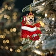 thumbnail image 3 of dajkiuy Dog Ornament, Dog Christmas Ornament Gift for Lover Dog, Cute Dog in Pocket Christmas Ornament Acrylic Ornament, 3 of 4