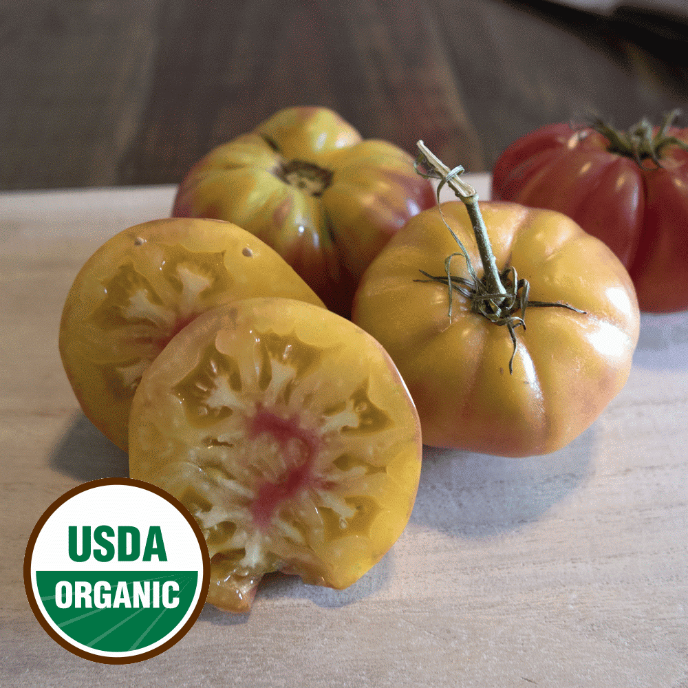 Everwilde Farms 1 Lb Organic Hillbilly Heirloom Tomato Seeds Gold