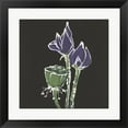 thumbnail image 1 of Lotus on Black II by Chris Paschke, Framed Wall Art, 19.5W x 19.5H, 1 of 1