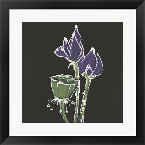 Lotus on Black II by Chris Paschke, Framed Wall Art, 19.5W x 19.5H