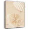 thumbnail image 1 of Karyn Millet 23x32 Gallery Wrapped Canvas Wall Art Titled - Ocean Treasures I, 1 of 4