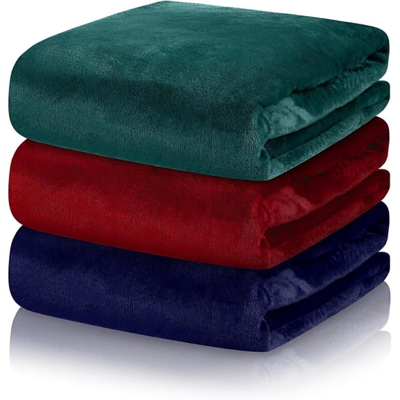 3 Pack Fleece Throw Blanket Size Soft Warm Plush Lightweight Fuzzy Couch & Bed Blanket Bulk for Valentine's Mother's Day Travel Camping(Bright Color,60" X 80")