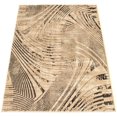 thumbnail image 4 of ECARPET Elka Beige-Black Rug, 4 of 9