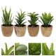 thumbnail image 3 of 4 unids Simulación Planta Decoración creativa Artificial Mini Bonsai Home Desktop Decor, 3 of 7