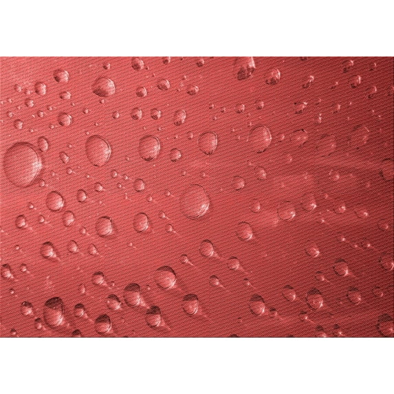 Ahgly Company Machine Washable Indoor Rectangle Transitional Red Area Rugs, 6' x 9'