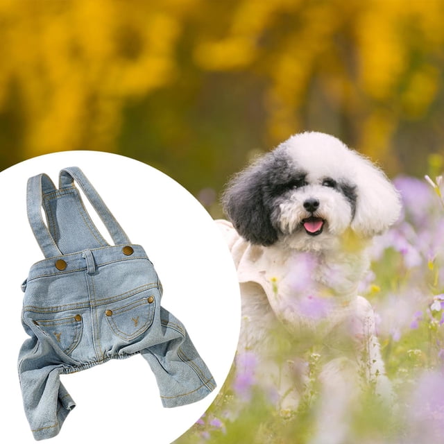 Júcido de mezclilla de mezclilla Cachorro de cachorro Capas de verano ropa de mascotas ropa para perros, pantalones para mascotas para accesorios de M