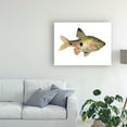 thumbnail image 3 of Trademark Fine Art 'Rainbow Fish III' Canvas Art by Emma Scarvey, 3 of 4