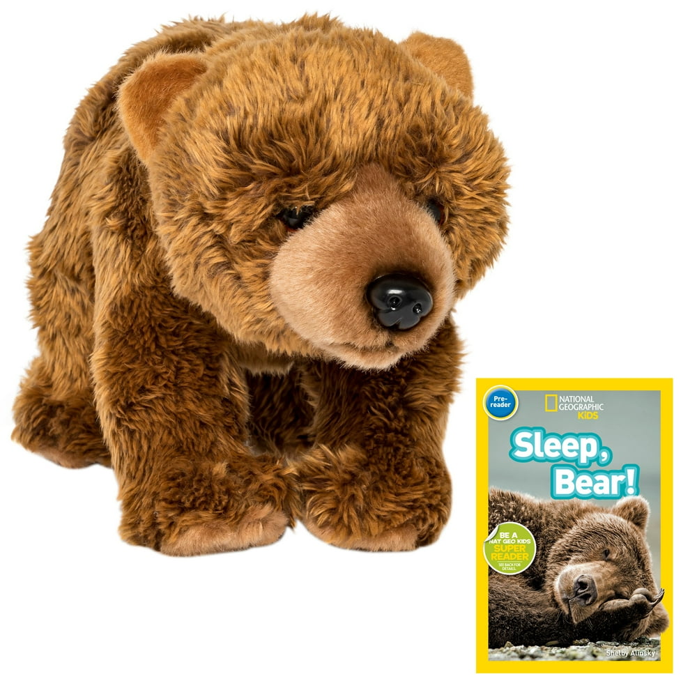 12 Inch Plush Grizzly Bear Stuffed Animal Set with National Geographic
