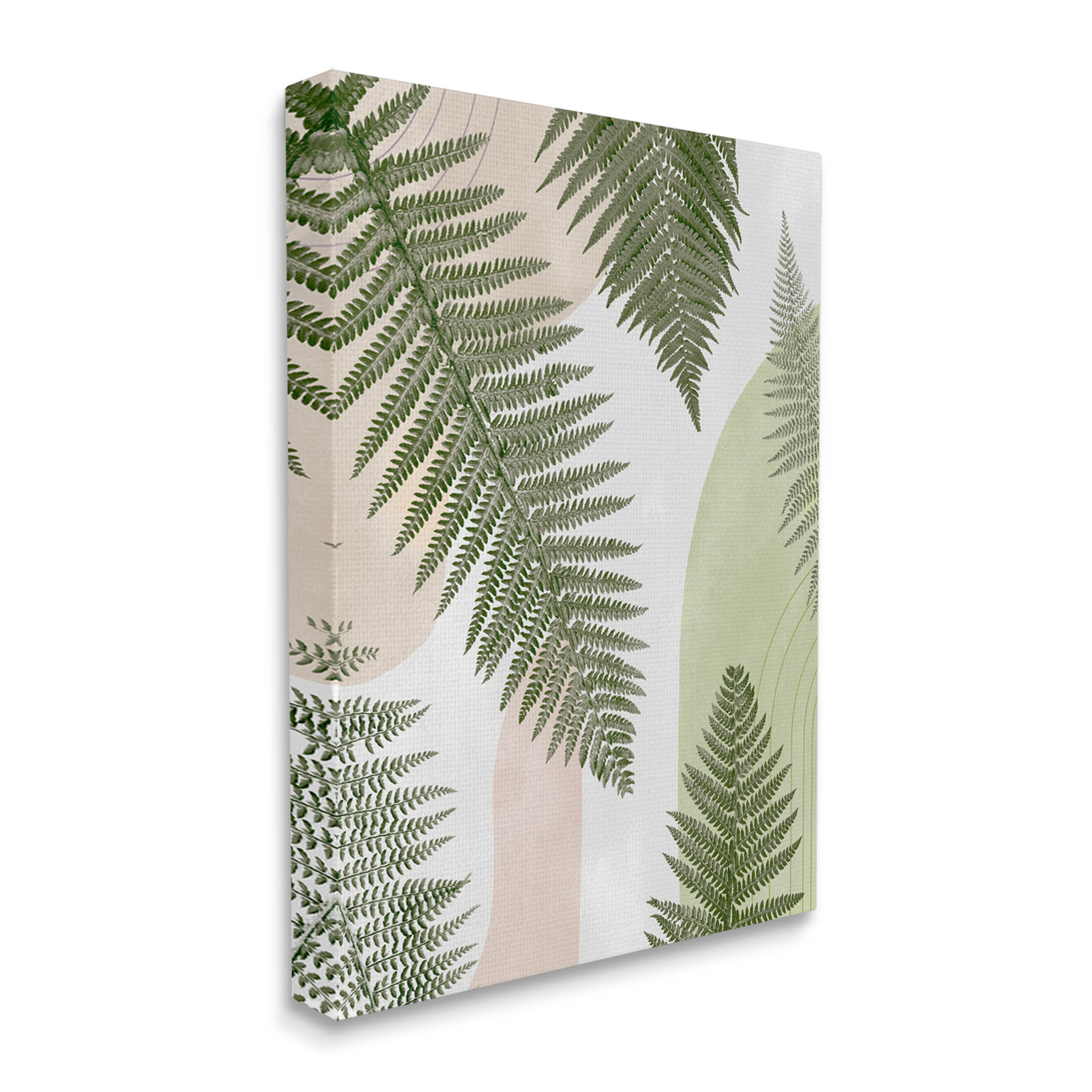 Woodland Nature Fern Leaves Botanical & Floral Graphic Art Gallery Wrapped Canvas Print Wall Art