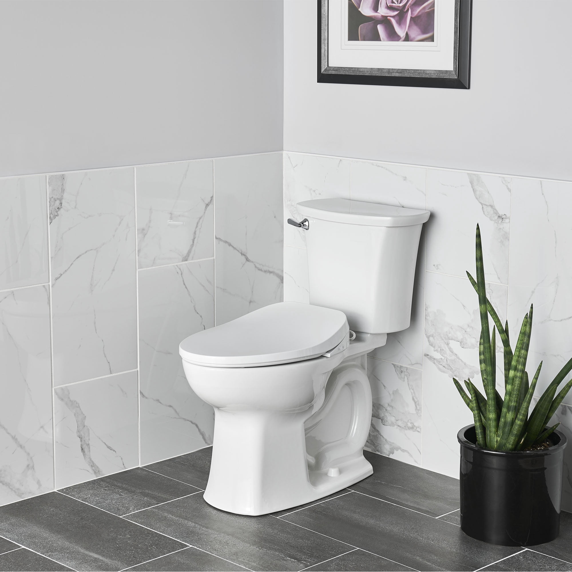 American Standard Aquawash 2.0 Manual SpaLet Elongated Bidet Seat in White