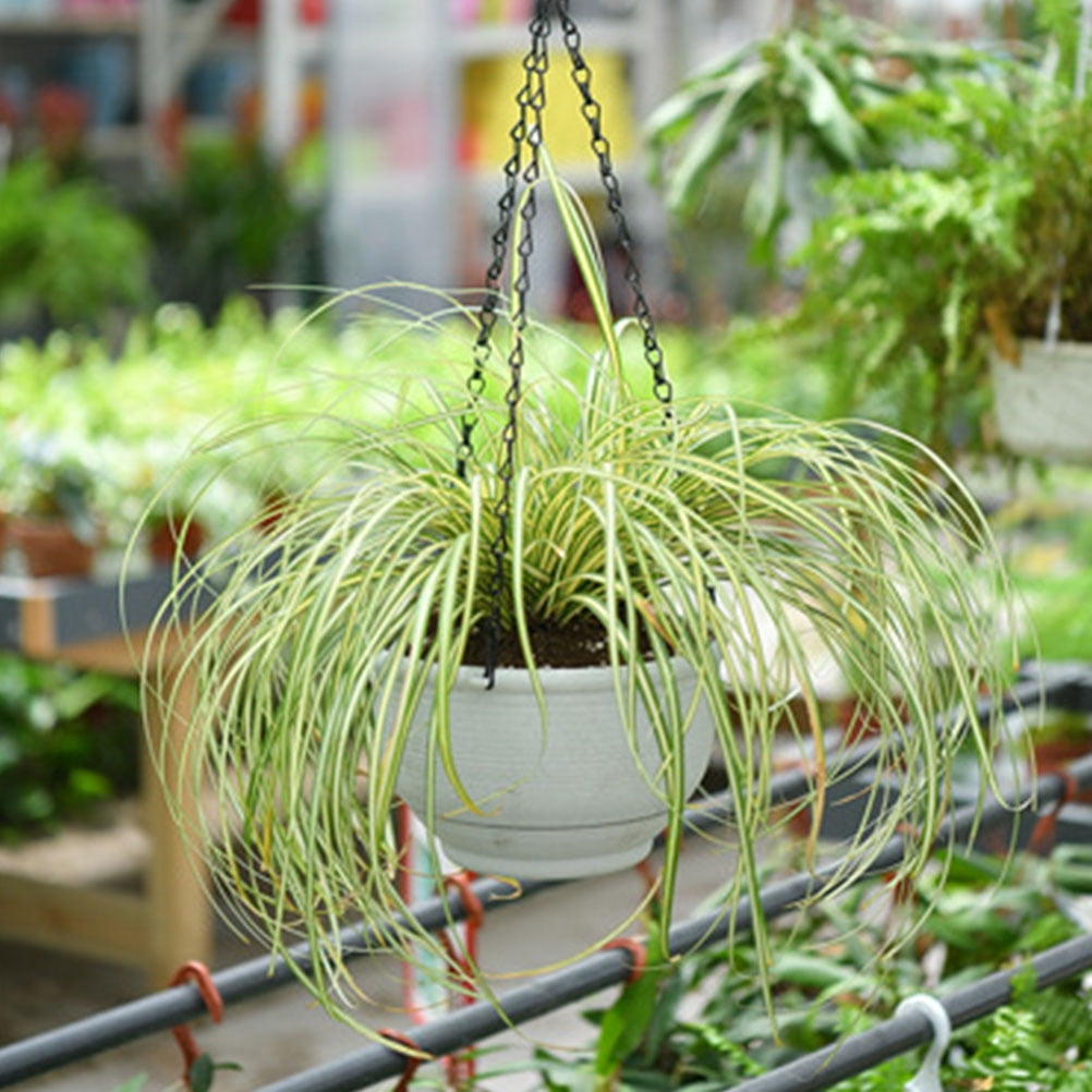 Soimiss 2Pcs Hanging Flower Pot Plastic Self Watering Planter for Office Living Room