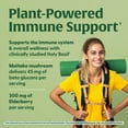 thumbnail image 4 of MegaFood Superfood Mushroom Immune Support - Elderberry & Holy Basil - Vegan - 30 Servings, 4 of 8